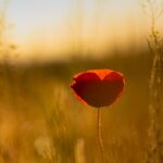 Emocjonalna pustka po sukcesie: co się dzieje, gdy cel zostaje osiągnięty